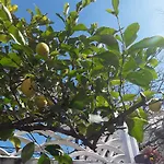Adorable Summer House By The Sea بيت للعطل Zapuntel
